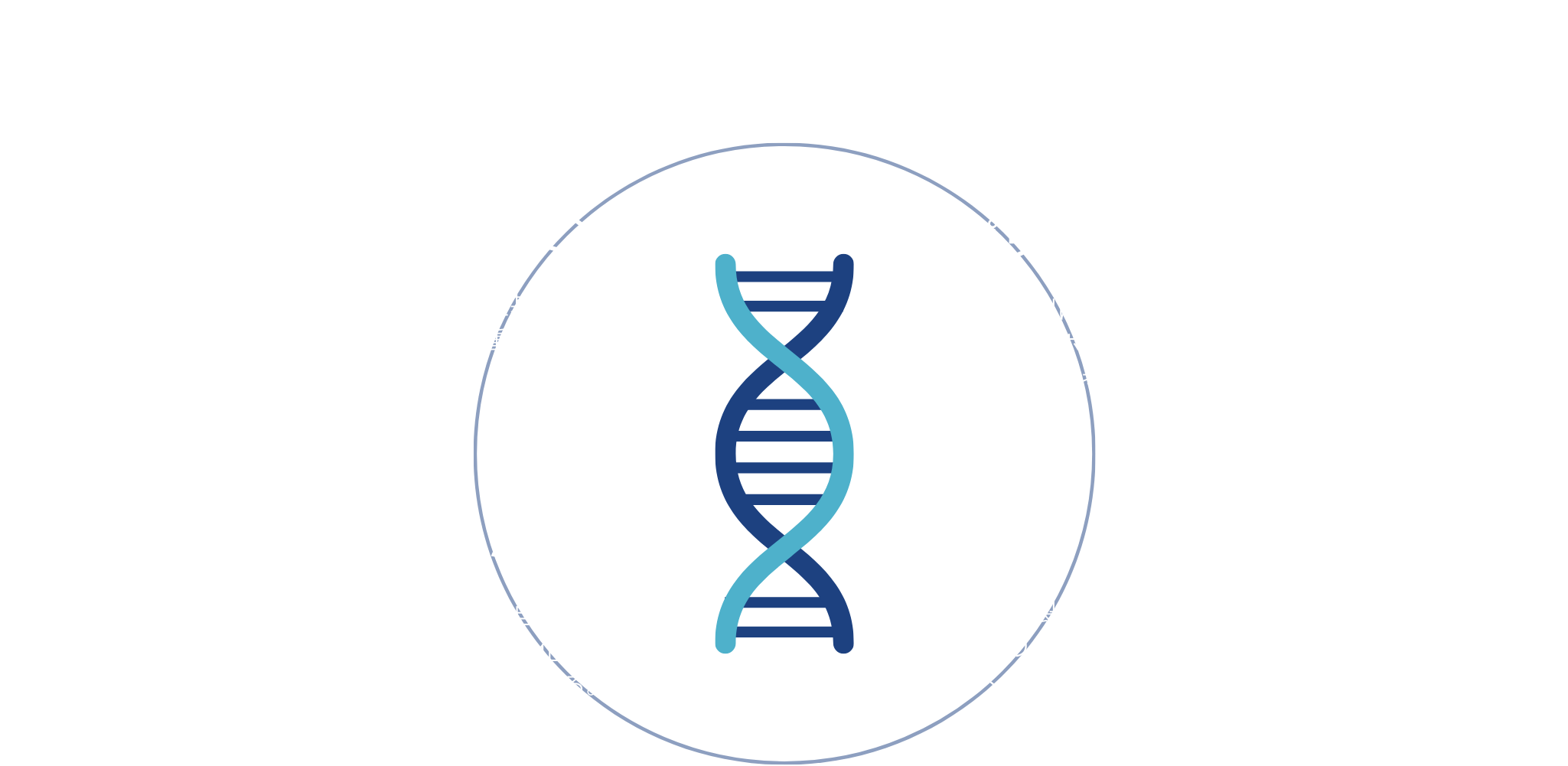セランジェ セラム ADN - ヒストリーメーカージャパン公式オンライン